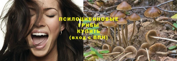 бошки Арсеньев
